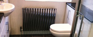 bathrooms